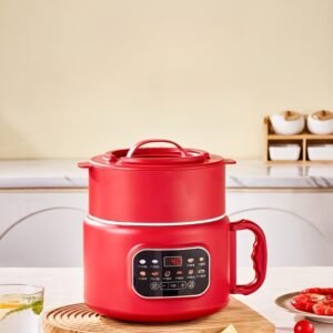 Heapsion 2.5L Rice Cooker with Steamer (Home and Commercial Use)